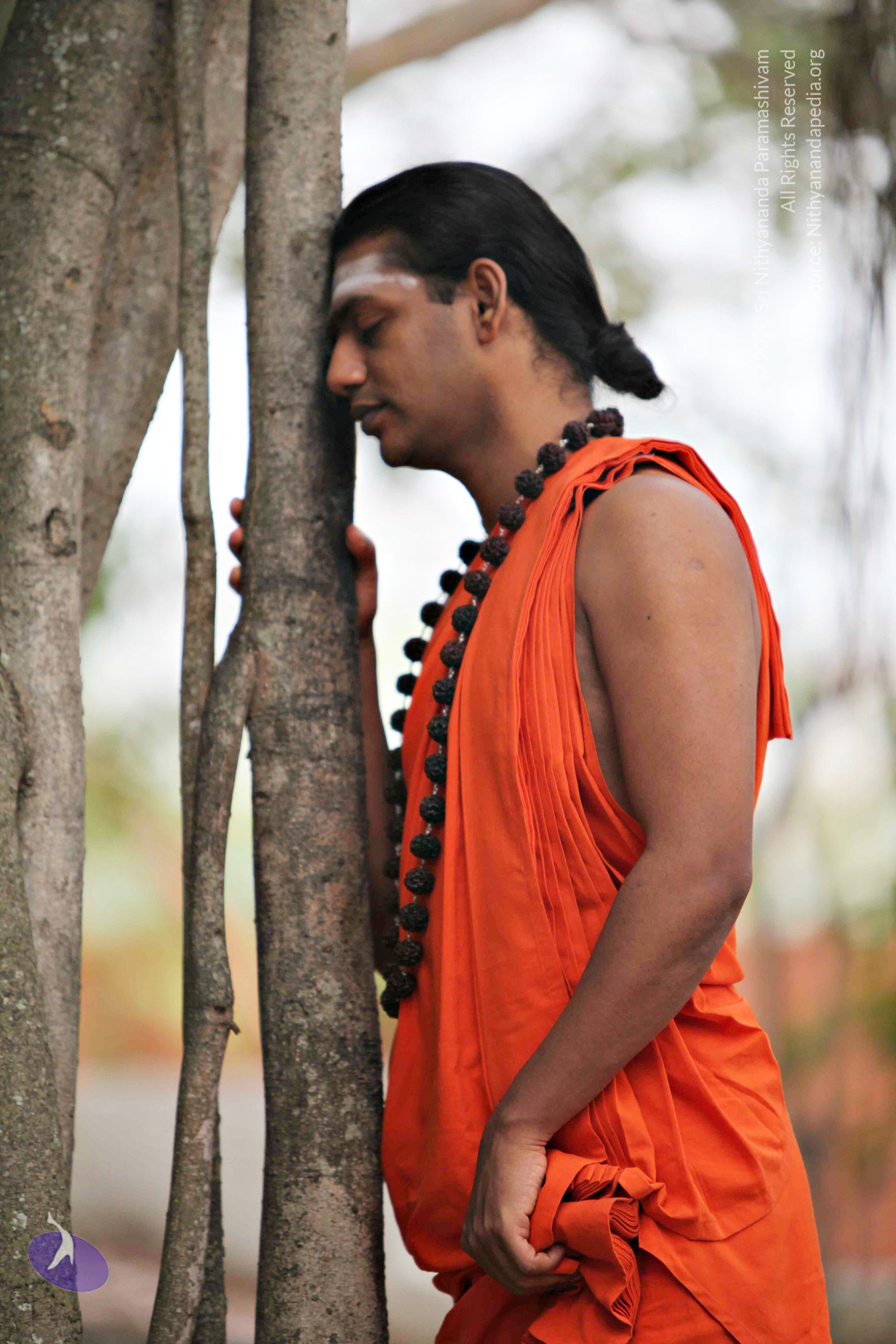 20110225_Photo_1045_IMG_0764_CMP_WM